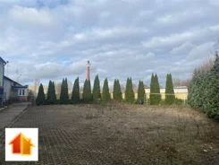 ASK-LS-47494 - zdjęcie nr 0