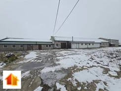 65-IS-FYsfc4UjoL - zdjęcie nr 3