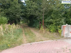 GS-14709 - zdjęcie nr 2