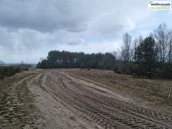 GS-14477 - zdjęcie nr 3