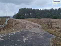 GS-14477 - zdjęcie nr 4