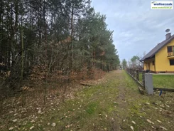 GS-14871 - zdjęcie nr 1
