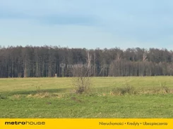 SDHIHY223 - zdjęcie nr 0