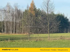 SDHIHY223 - zdjęcie nr 1