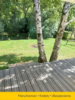 SDRETY264 - zdjęcie nr 0