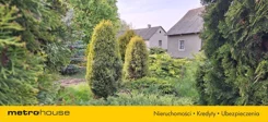 SDDIDI323 - zdjęcie nr 4