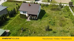 SDROPY386 - zdjęcie nr 2