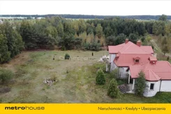 BIFE566 - zdjęcie nr 5