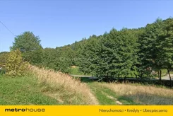 GINI128 - zdjęcie nr 2