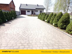 SDPOTY594 - zdjęcie nr 0