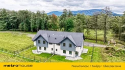 SDDOGA961 - zdjęcie nr 2