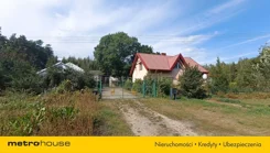 SDSUZY110 - zdjęcie nr 0
