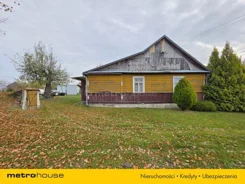 SDZIGI919 - zdjęcie nr 2