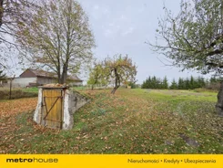 SDZIGI919 - zdjęcie nr 3