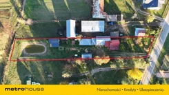SDHADY462 - zdjęcie nr 0
