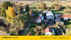 SDHADY462 - zdjęcie nr 2