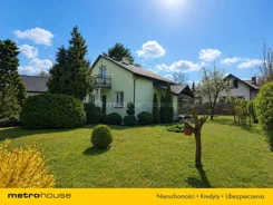 SDBODI357 - zdjęcie nr 0