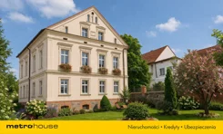 SDBOKY782 - zdjęcie nr 1