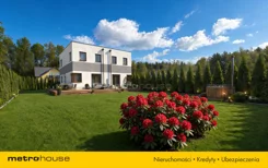 SDPASY929 - zdjęcie nr 0