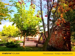 ZADE249 - zdjęcie nr 0