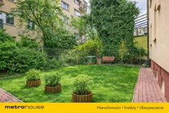 SDLOLI444 - zdjęcie nr 2