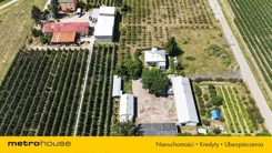 SDCIJI654 - zdjęcie nr 1