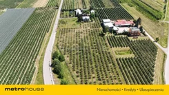 SDCIJI654 - zdjęcie nr 2