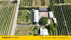 SDCIJI654 - zdjęcie nr 4