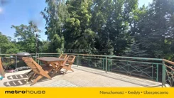 SDVEJO318 - zdjęcie nr 3