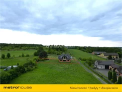 XENY542 - zdjęcie nr 1