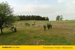 NABI569 - zdjęcie nr 2
