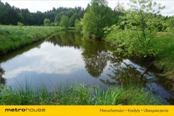 MOLY369 - zdjęcie nr 0