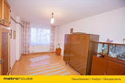 MOLY369 - zdjęcie nr 3