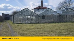 SDJERU211 - zdjęcie nr 4
