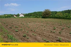FIPA259 - zdjęcie nr 3
