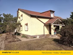 SDKOLE969 - zdjęcie nr 1