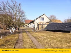 SDKOLE969 - zdjęcie nr 3
