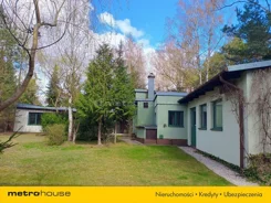 SDPADI538 - zdjęcie nr 1
