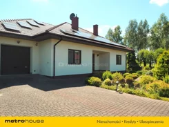 SDLEZU916 - zdjęcie nr 0