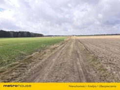 SGBEZO187 - zdjęcie nr 4