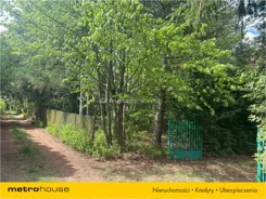 FOFO991 - zdjęcie nr 2