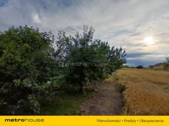 SGSERU575 - zdjęcie nr 2