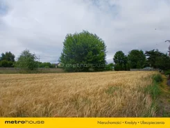 SGSERU575 - zdjęcie nr 3