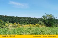 BYCE275 - zdjęcie nr 3