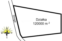 RUHO557 - zdjęcie nr 3
