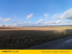 SGMURY250 - zdjęcie nr 1