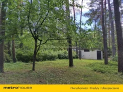 SGTINO293 - zdjęcie nr 2