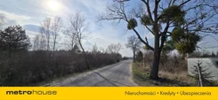 SGLATI811 - zdjęcie nr 3