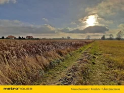 GEBU140 - zdjęcie nr 2
