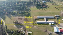 SGGEGA897 - zdjęcie nr 4